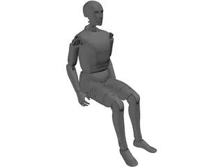 Crash Dummy 3D Model preview