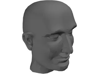 Head Male 3D Model preview