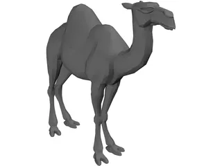 Camel 3D Model preview