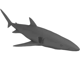 Blue Shark 3D Model preview