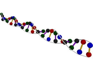 DNA Strand 3D Model preview