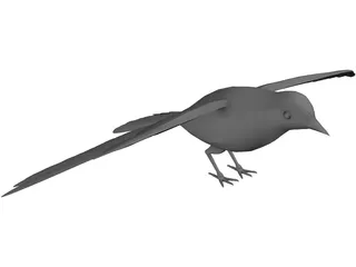 Dove Rock Pigeon 3D Model preview