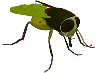 Fly 3D Model preview