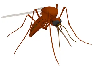 Mosquito 3D Model preview