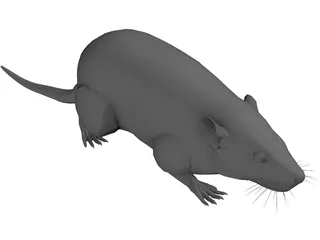 Rat 3D Model preview