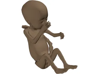 Fetus 3D Model preview
