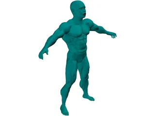 Muscle Man 3D Model preview