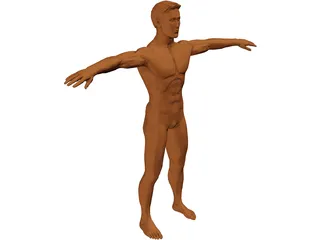 Man 3D Model preview