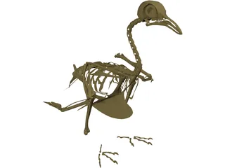 Pigeon Skeleton 3D Model preview