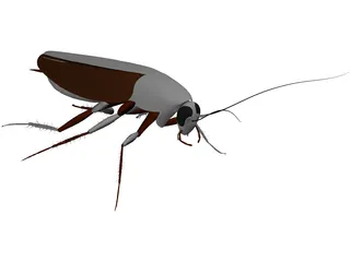 Cockroach 3D Model preview