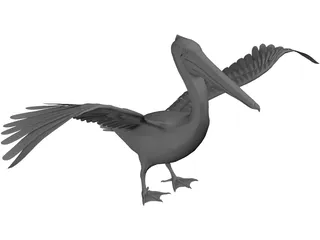 Pelican 3D Model preview
