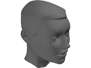 Head 3D Model preview