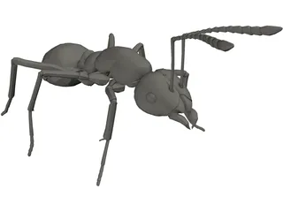 Ant 3D Model preview