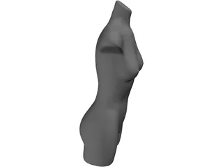 Mannequin Female 3D Model preview