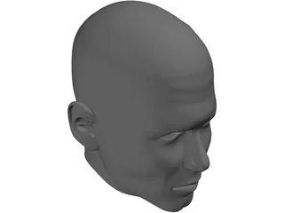 Man Head 3D Model preview