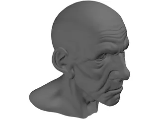 Man Head Old 3D Model preview