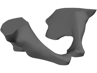 Pelvis 3D Model preview