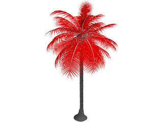 Palm Tree 3D Model preview