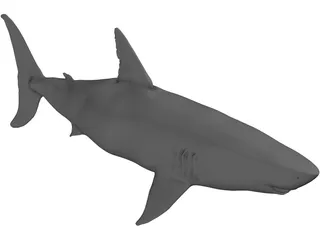 White Shark 3D Model preview