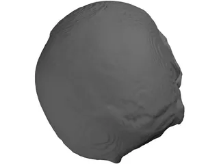 Skull 3D Model preview