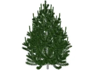 Pinito 3D Model preview
