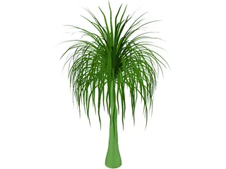 Palmera 3D Model preview