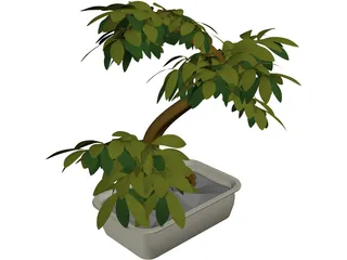 Small Tree 3D Model preview