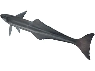 Remora 3D Model preview