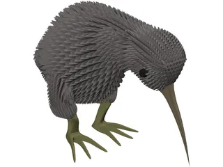 Kiwi Bird 3D Model preview