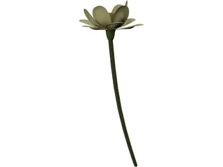 Lotus Flower (Nelumbo Lutea) 3D Model preview