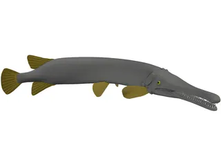 Alligator Gar (Atractosteus Spatula) 3D Model preview