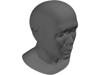 Samuel Head 3D Model preview
