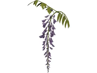 Wisteria Flower Japanese 3D Model preview