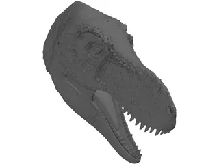 Tyrannosaurus Rex Head 3D Model preview