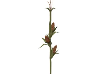Corn Stalk 3D Model preview