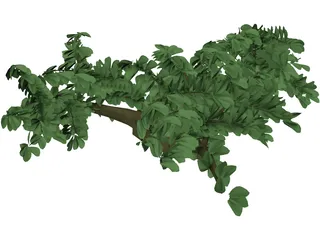 Tree 3D Model preview