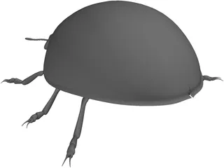 Ladybird 3D Model preview