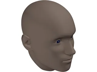 Human Head 3D Model preview
