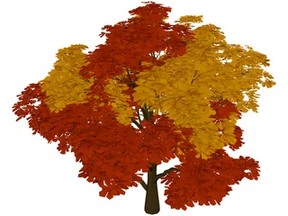 Chestnut Tree 3D Model preview