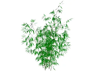 Bamboo 3D Model preview