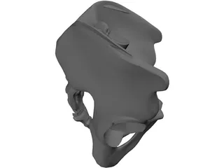 Pelvis and Sacrum 3D Model preview