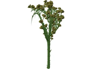 Rose Flower 3D Model preview