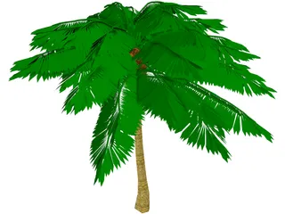 Palm Tree 3D Model preview