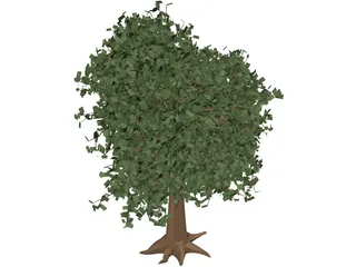 Oak Tree 3D Model preview