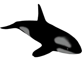 Orca 3D Model preview