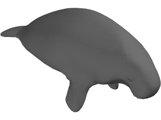 Manatee 3D Model preview