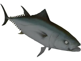 Tuna 3D Model preview