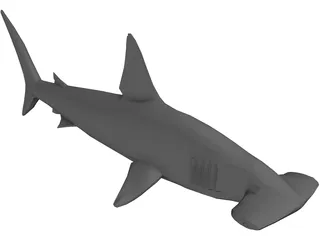 Shark 3D Model preview