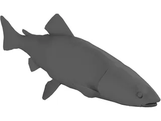 Rainbow Trout 3D Model preview