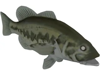 Bass 3D Model preview